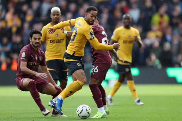 不可或缺的 不可或缺的